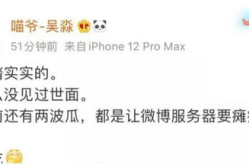 娱乐吃瓜艺人搞副业未必顺风顺水,风光背后暗藏波折，投资风险与机遇并存”
