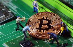 比特币根本卖不掉,根本卖不掉的数字黄金之谜