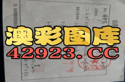 今晚必开什么生肖,今晚运势揭秘，必开生肖大揭秘！