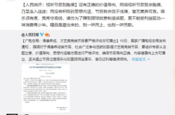 娱乐化评论,娱乐评论风潮下的文化现象解析