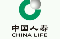 华夏人寿保险股份有限公司,稳健发展，创新引领的人寿保险巨头